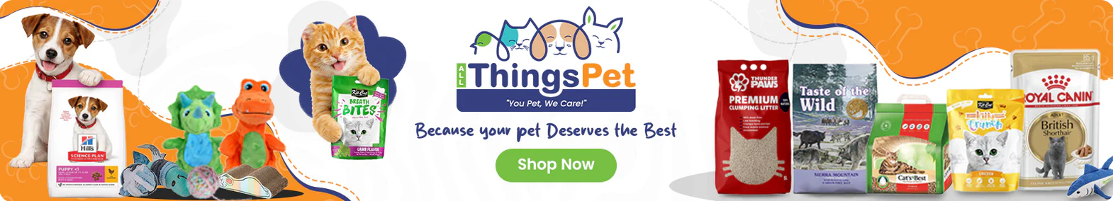 Premium Packaging for UAE Businesses